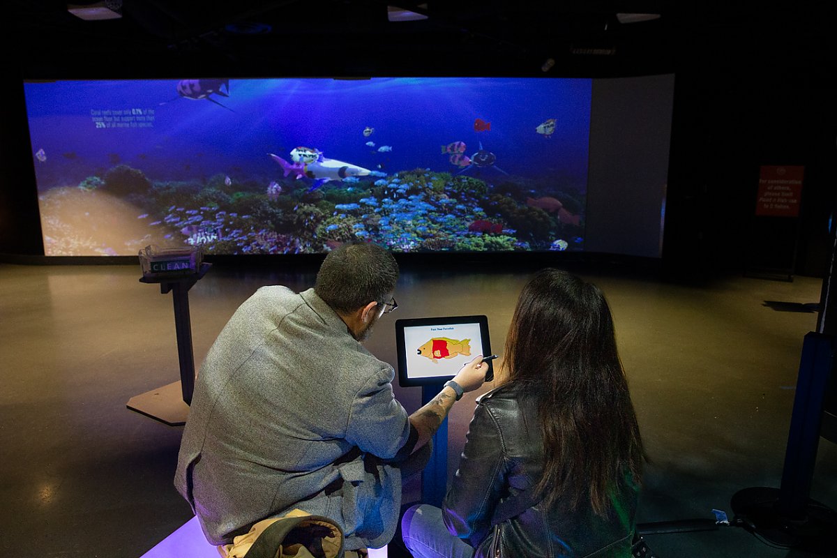 Couple at computer station drawing a fish