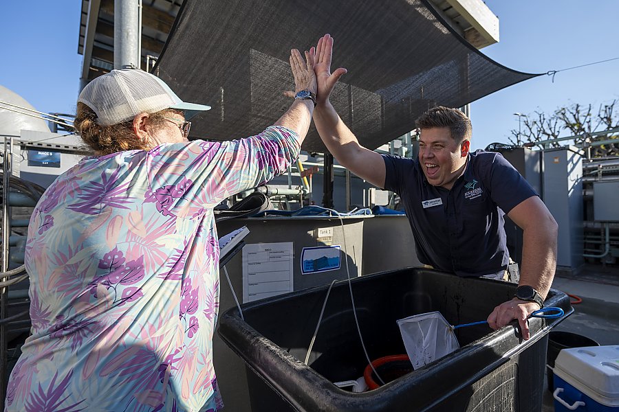 A smiling Aquarium staff member in polo high fiving with an individual